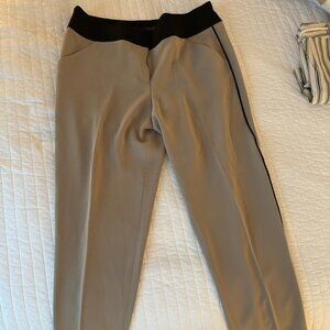 Ann Taylor Dress Pants